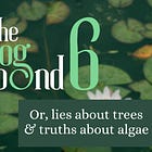 The Frog Pond #6: Liquid Trees