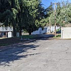 Planning Commission Considers Trees