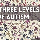 The Three Levels of Autism