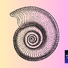 How do we define creative resilience? Part Two: Practical resilience