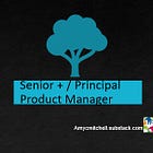 What Does It Look Like to Be a Senior+ / Principal Product Manager?