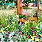 Demystifying judging as we look at the Hampton Court fabulous show features. Plus: the flower border design course continues