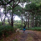 Field notes from a solo camp (under a tarp!)