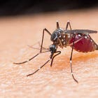 If a vaccine is your hammer, all the world is a nail