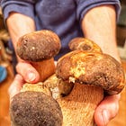 # 21 Mushrooms With a View: Falling in Love with Bracciano