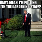 Trump Approval Numbers Are Bigly Bad And He's Spiraling