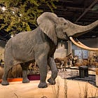 Delbridge daughters bless Sioux Falls' plan to regift Brockhouse animals