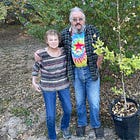 Hiroshima Ginkgo trees to be planted near Sebastopol Peace Garden today
