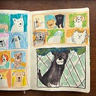 Replay: The Dogist Drawing Session