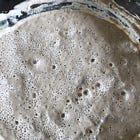 Sourdough 101: How to catch and keep wild yeast