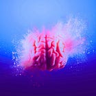DARPA's 'N3' Non-Surgical Brain Tech Using Light and Sound Raises Weaponization Alarms
