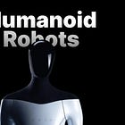 Tesla Bot | The Quasi-Infinite Economy 
