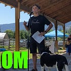 Celebrating Freedom and Speaking Freely in BC