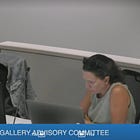 TTAG Advisory Committee Updates on Gallery Deficit, Fundraising, Advisors & More
