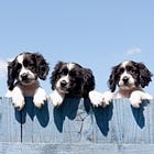 3 pieces of common creator advice I'm on the fence about