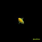 AL #73: Is Corn a Better Yield L2?