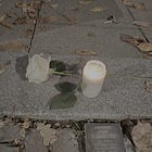 Five Things: Hate, Fuck, Media, Plastic, Workweek