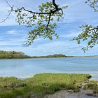 🛠️ Where + How to Volunteer on Martha's Vineyard 