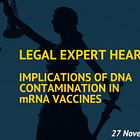 WCH PlasmidGate International Legal Experts Hearing