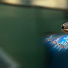 Ivermectin Remains a Silver Bullet