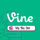 Why Vine Died: Closing The Loop On The Company That Changed The Internet 