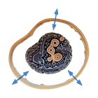 What is autonomy? Why boundaries are necessary.