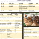 Sex-linked breeding in poultry: Part 4 