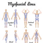 The Power of Fascial Stretching: Understanding the Body's Deeper Connections