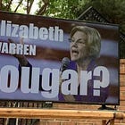 You Know What Liz Warren Was Missing? SEXY. Thanks Jacob Wohl And The Other One!