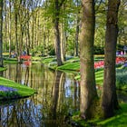 Everything You Need To Know About Visiting Keukenhof During the Annual Tulip Festival