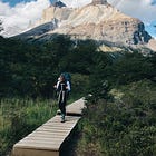 travel guide: torres del paine 