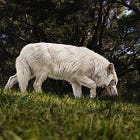 Lobos extintos há 10 mil anos voltam à vida em experimento revolucionário