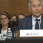 Dr. Fauci Goes Rand Paul's Neighbor In Senate Hearing