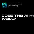 🚨❓ Does the AI hype hit a wall?