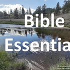 Bible Essentials Set 3: Stories in Genesis