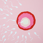 🧬 Fertility Doctors' Sperm: DNA Reveals Vintage Ethical Violations