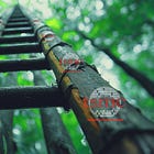 TSMC Built a Bamboo Ladder. Trump Might Yet Shake It
