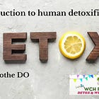 Silent Toxins: How Our Environment is Poisoning Us and What We Can Do About It