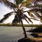 Adventures in the Dominican Republic, Part IV