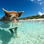 Having A Passion For Travel Means Adding More Experiences