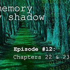 The Memory of My Shadow #12
