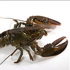 SCOUTING REPORT | West River history, hijacking Lobster Day, mayor’s Youth Council