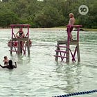 Australian Survivor Report Card - Titans v Rebels - Episode 4