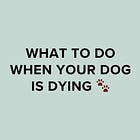 What To Do When Your Dog is Dying 🐾