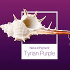 History of Pigments: Tyrian Purple