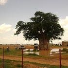 8 civilians, including three brothers, killed in West Kordofan town