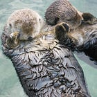 How one woman and a tiny ocean refuge helped sea otters escape extinction