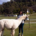 On the joy of (non-monetised) hobbies