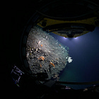Deepsea Art Project