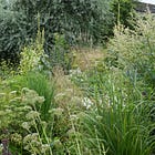 How to plan a contemporary border with matrix planting design